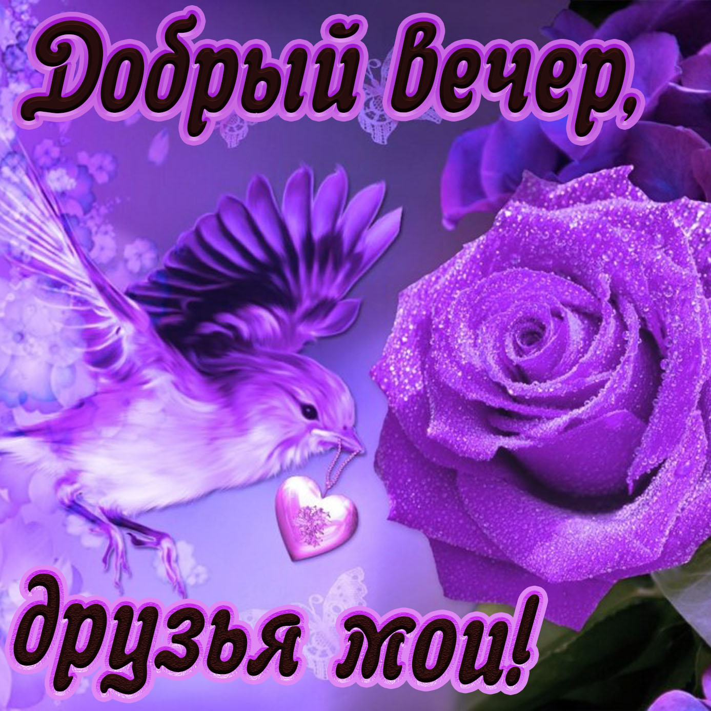 Гифки: Добрый вечер!