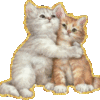 Два котенка обнимаются.