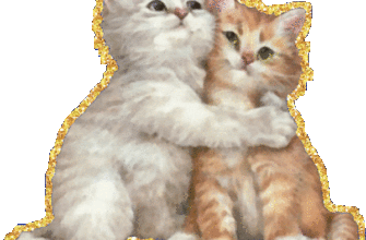 Два котенка обнимаются.