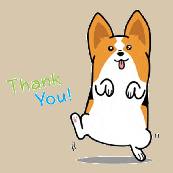 Анимация для презентации спасибо. Спасибо за внимание с собакой. Спасибо за внимание гифка. Спасибо гифка для презентации. Спасибо за внимание корги.