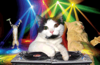 Кот на дискотеке. Забавные гифки с танцующим котиком.