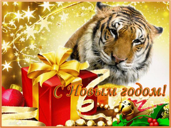 Тигр и подарки. Где найти гифки на новый год тигра.