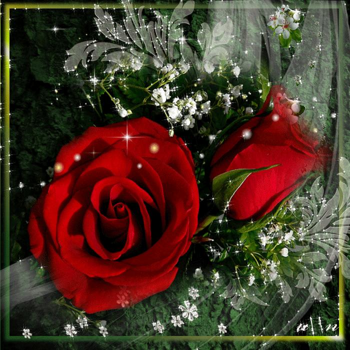 Розы с блестками. Красивые розы. Мерцающие цветы. Красивые мерцающие букеты. Гиф красивые розы